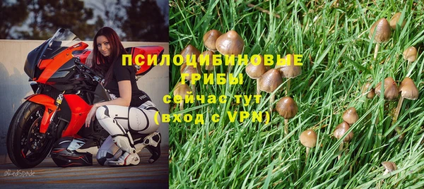 Альфа ПВП Баксан