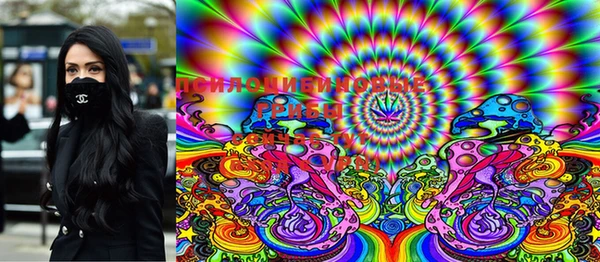 ешки Балахна